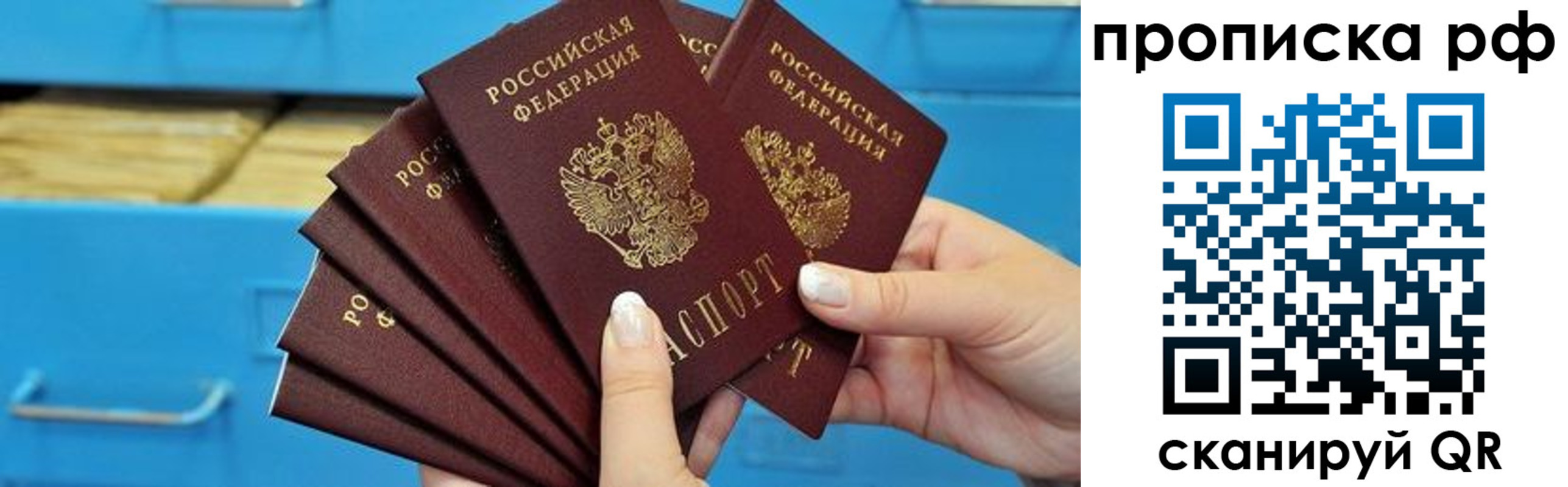 прописка поиск в Мурманске