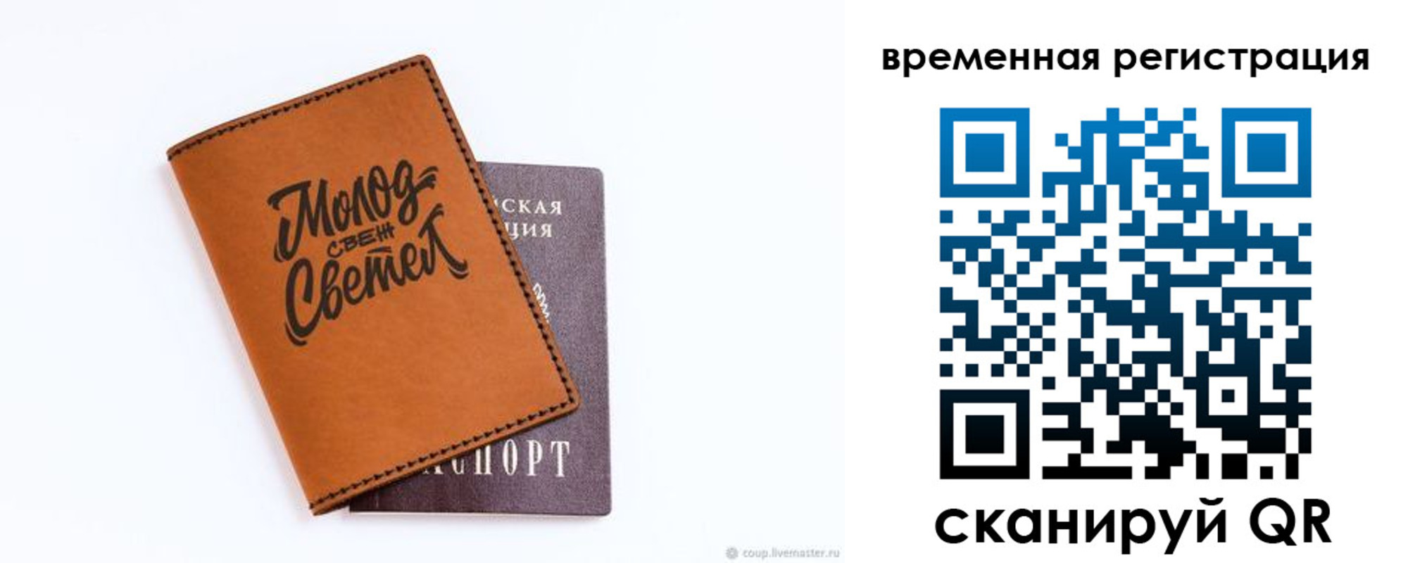 прописка законно в Мурманске
